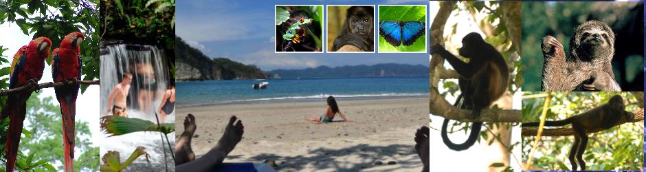 Travel to Costa Rica